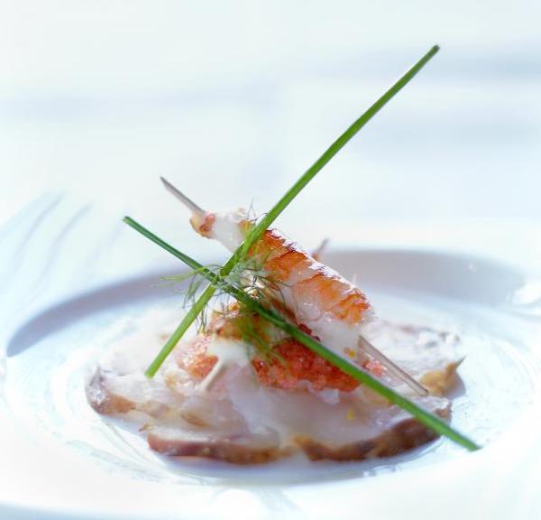 Gastronomi